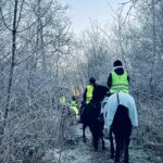 423454390 3608286099422109 617867237240064842 n