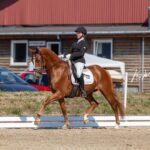 428275955 923755586077504 3875458834225985149 n