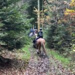 78447902925 b28df1fa b76f 4e95 abea cc734de919d0