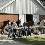 skærmbillede 2024 03 01 kl. 22.51.22 1